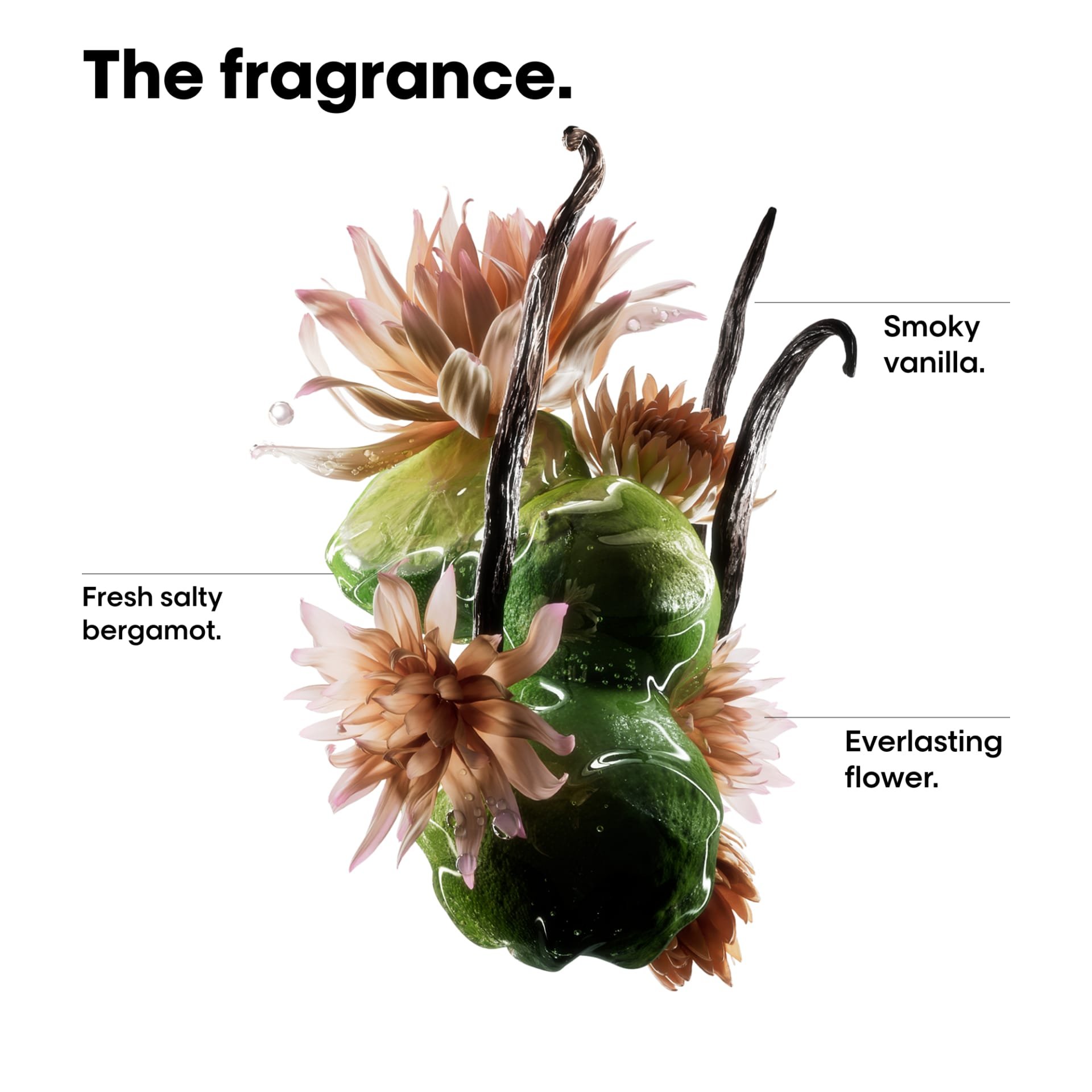 Absolut Repair Molecular Oil