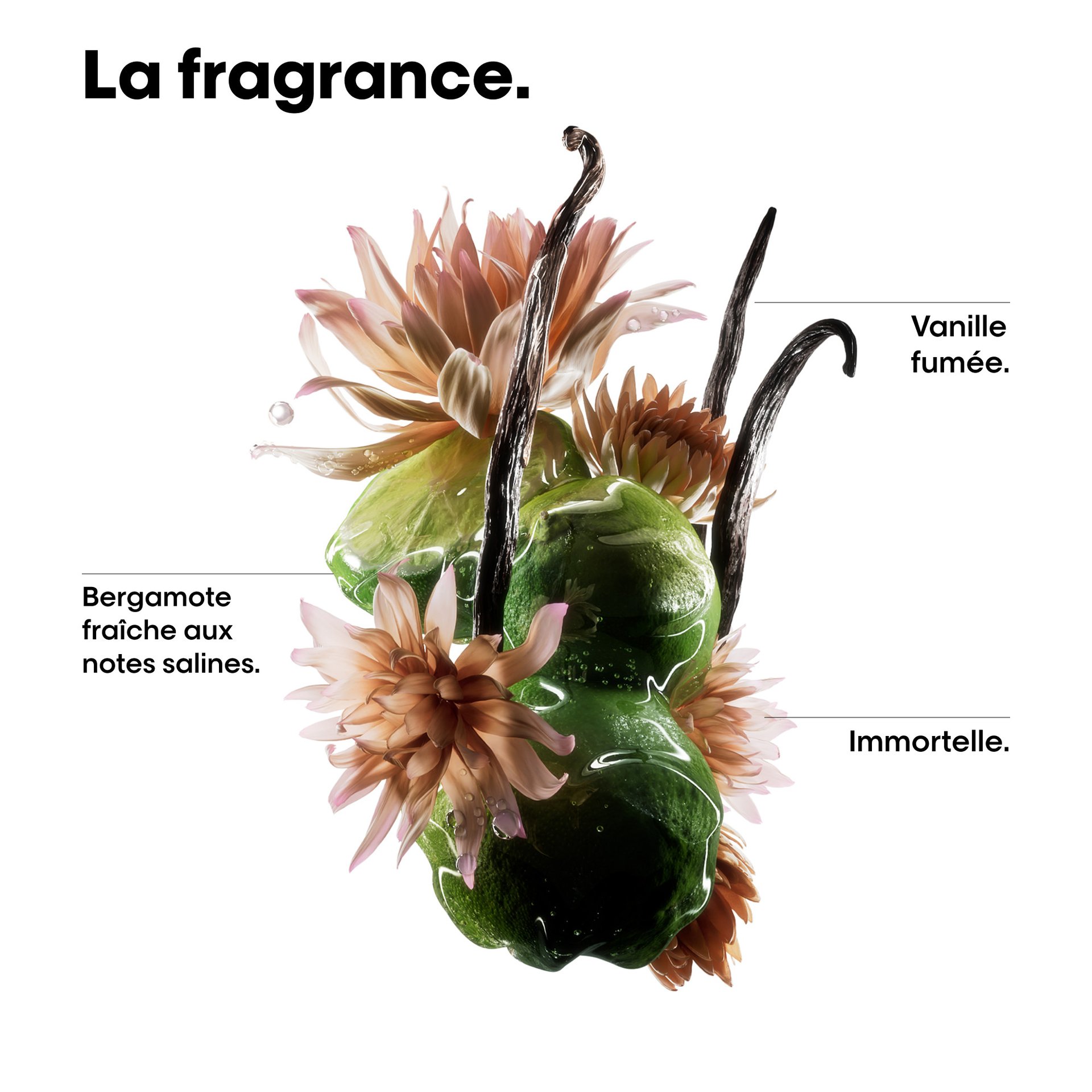 Absolut Repair Molecular Oil