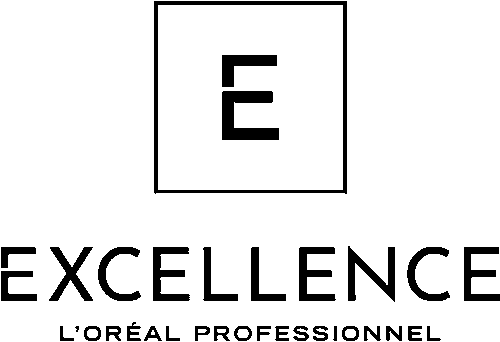 Excellence small logo