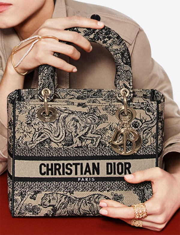 Christian dior bag